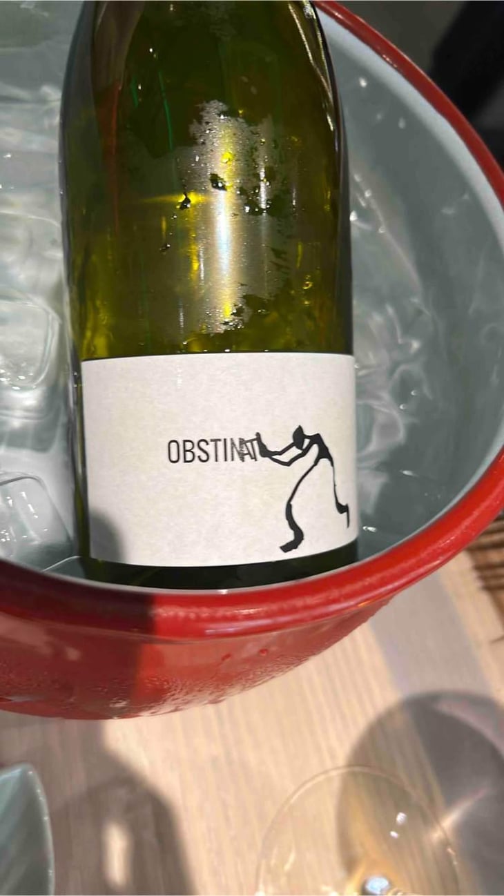 Obstinat - Celler Cal Tiques - Joan Rubio 