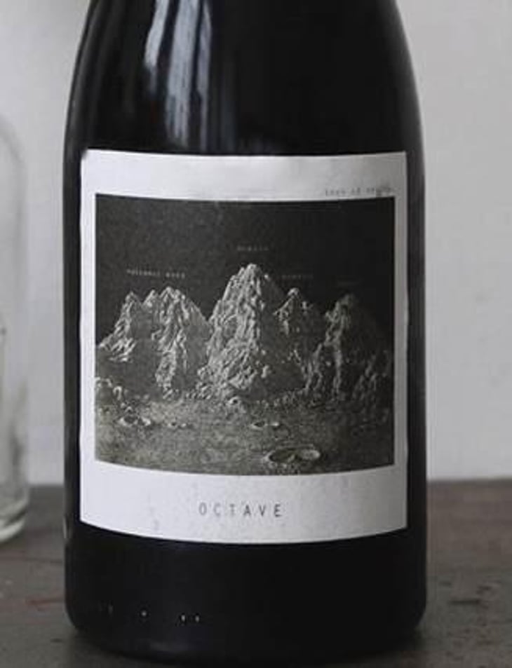 Octave - Sous Le Vegetal - Patrick Bouju & Jason Ligas 