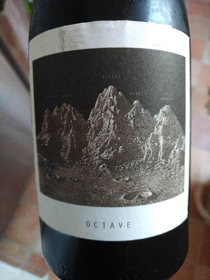 Octave - Sous Le Vegetal - Patrick Bouju & Jason Ligas 