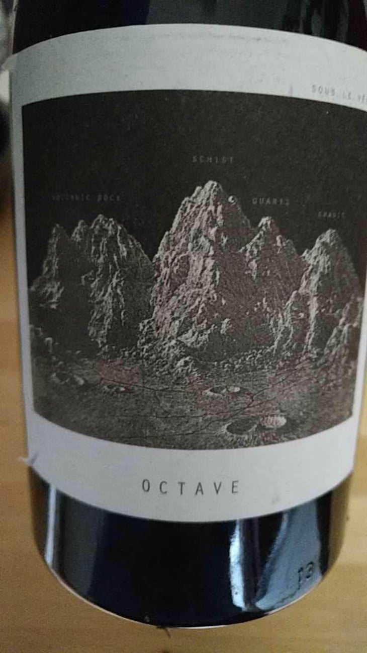 Octave - Sous Le Vegetal - Patrick Bouju & Jason Ligas 