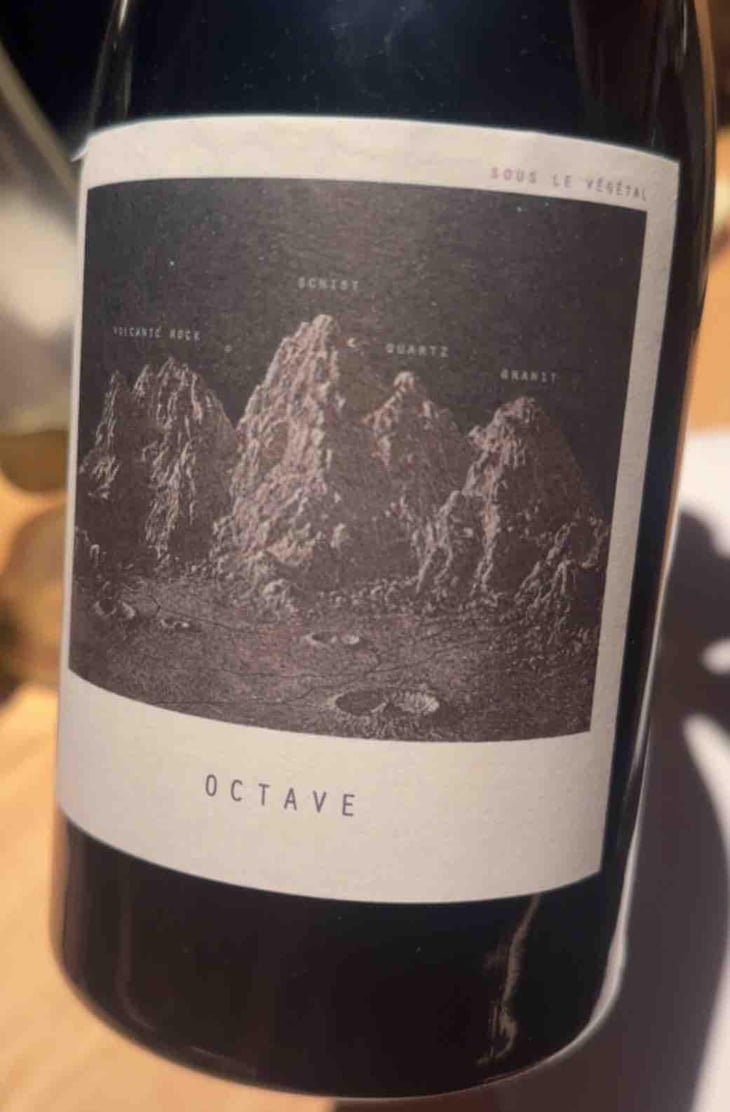Octave - Sous Le Vegetal - Patrick Bouju & Jason Ligas 