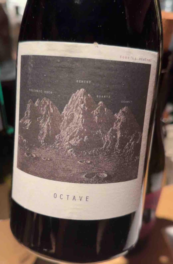 Octave - Sous Le Vegetal - Patrick Bouju & Jason Ligas 