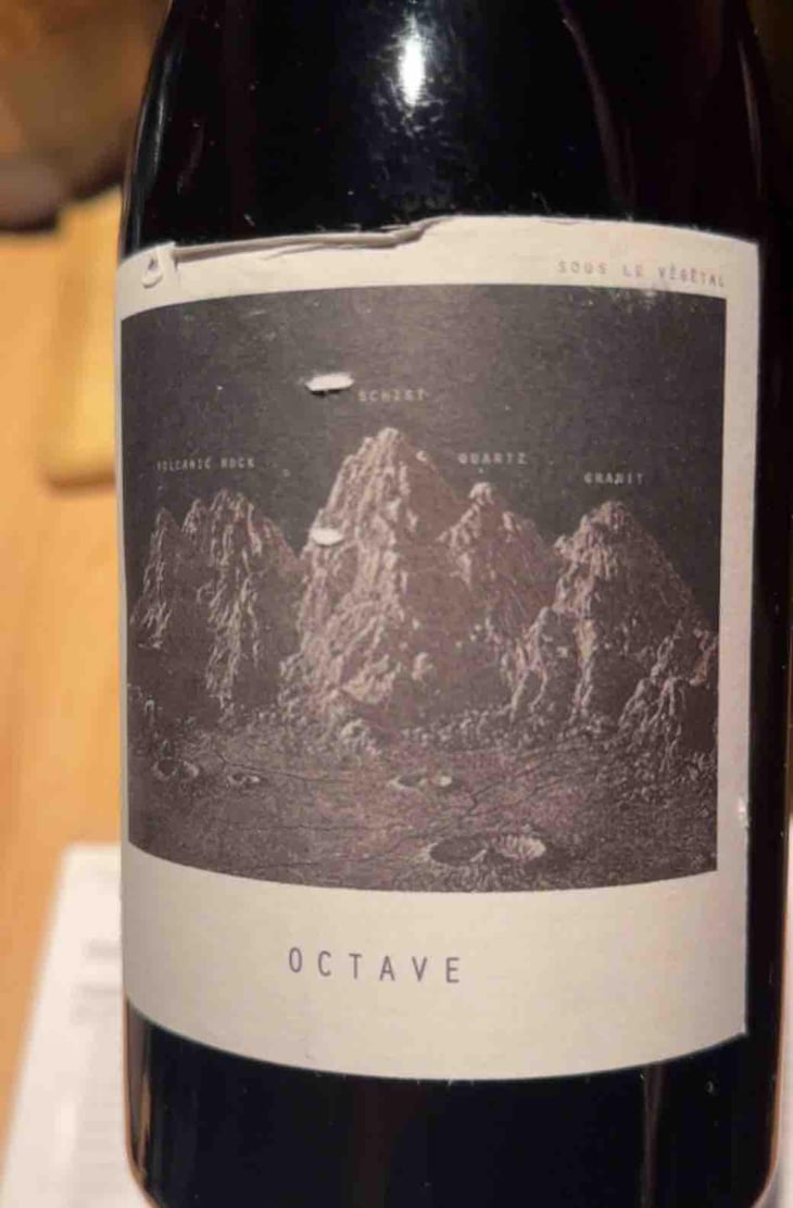 Octave - Sous Le Vegetal - Patrick Bouju & Jason Ligas 