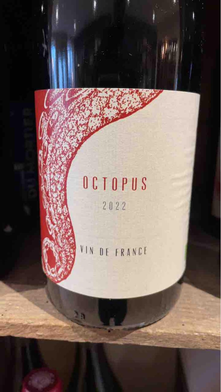 Octopus Rouge - L'Austral - Pauline Mourrain & Laurent Troubat 