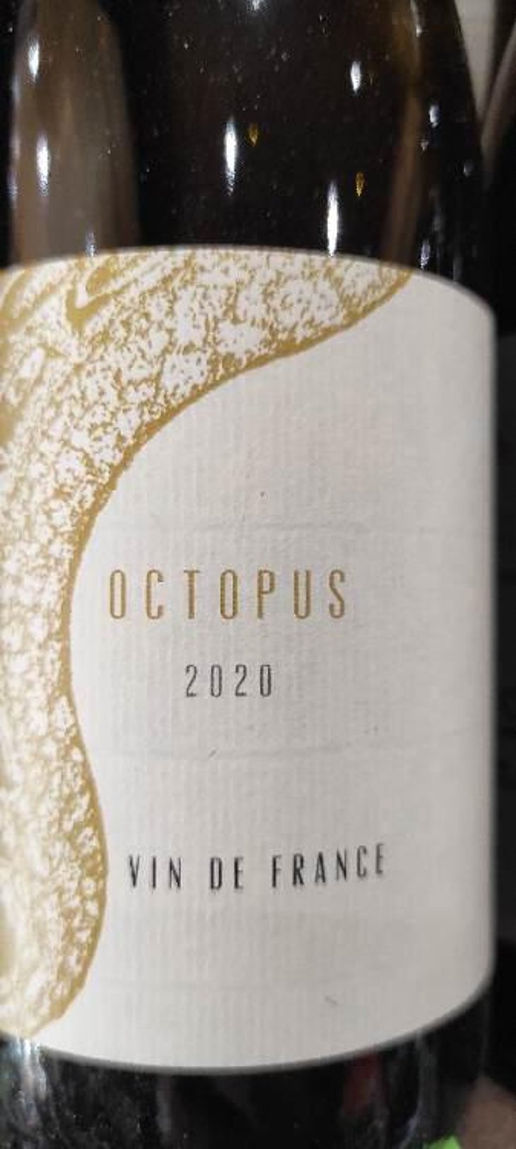 Octopus Blanc - L'Austral - Pauline Mourrain & Laurent Troubat -2020
