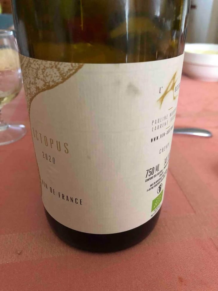 Octopus Blanc - L'Austral - Pauline Mourrain & Laurent Troubat -2020