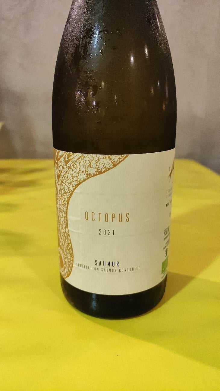 Octopus Blanc - L'Austral - Pauline Mourrain & Laurent Troubat -2020