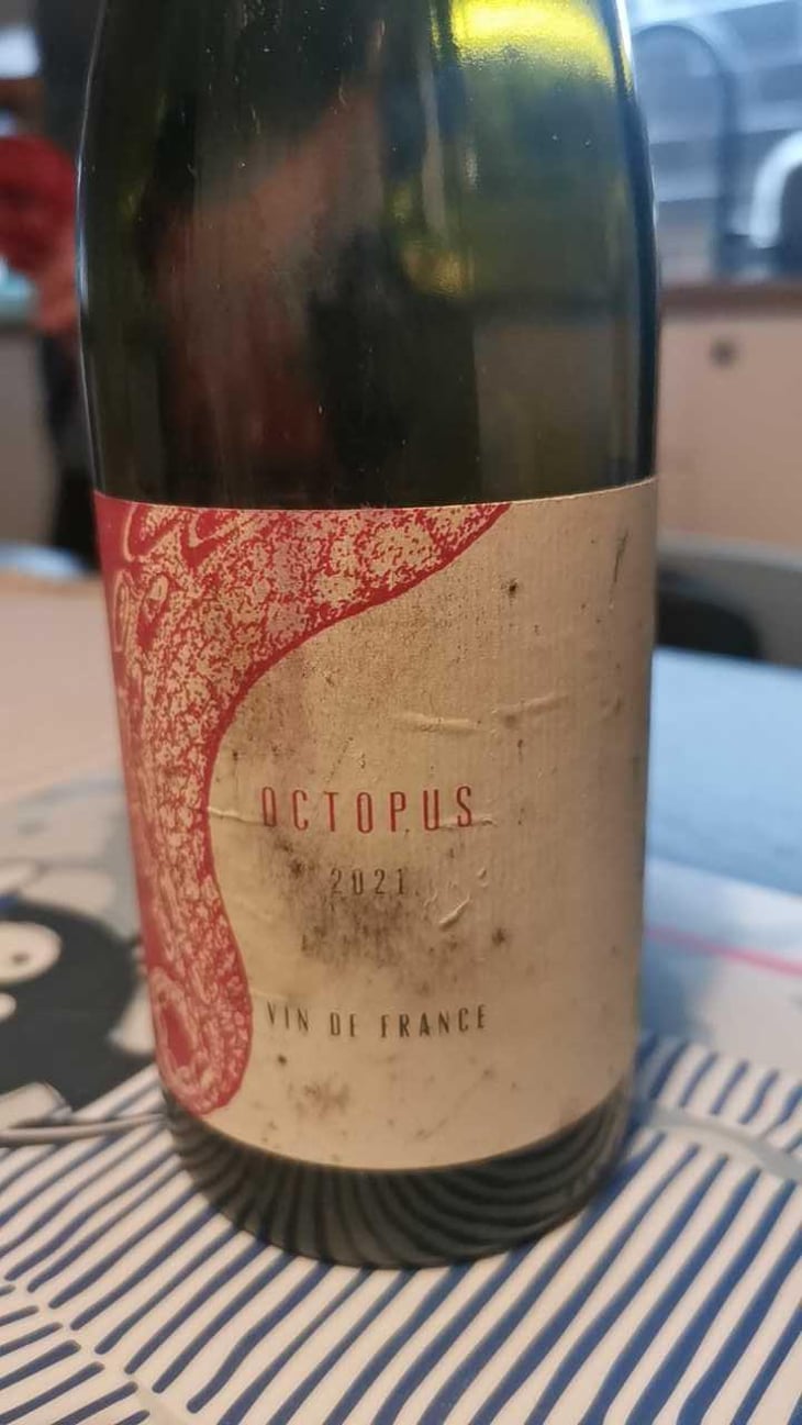 Octopus Rouge - L'Austral - Pauline Mourrain & Laurent Troubat 