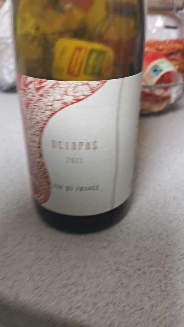 Octopus Rouge - L'Austral - Pauline Mourrain & Laurent Troubat 