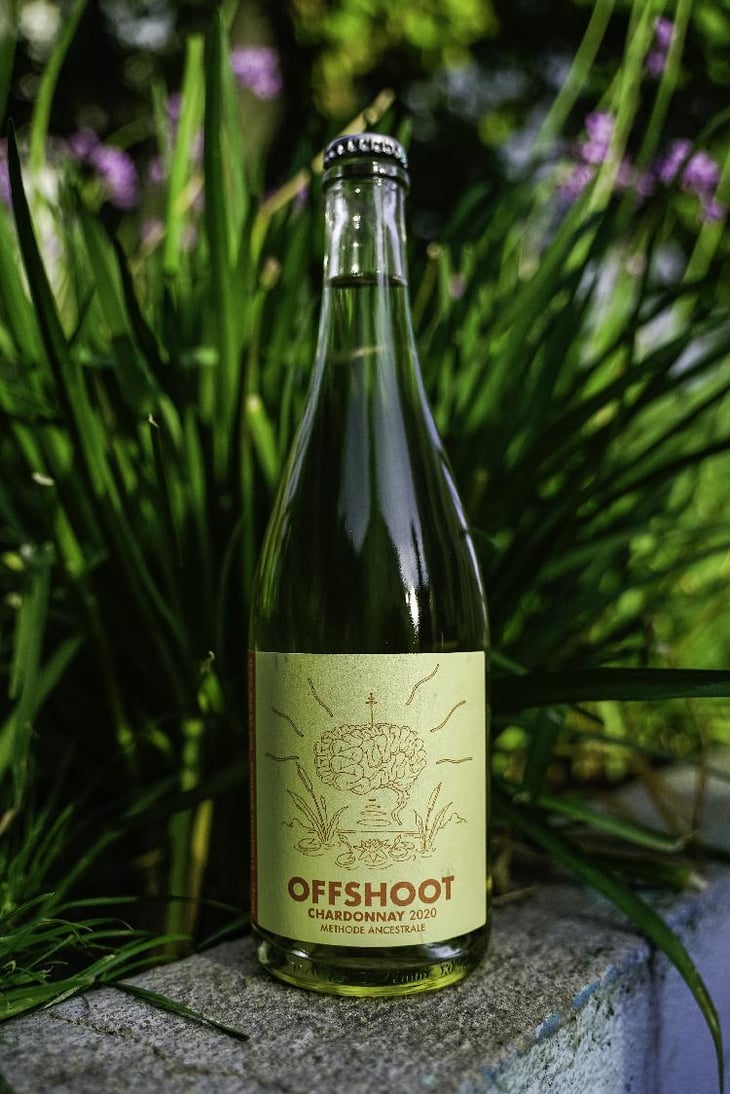 Offshoot pet nat - Heaps Good Wine - Nick Gee -2020