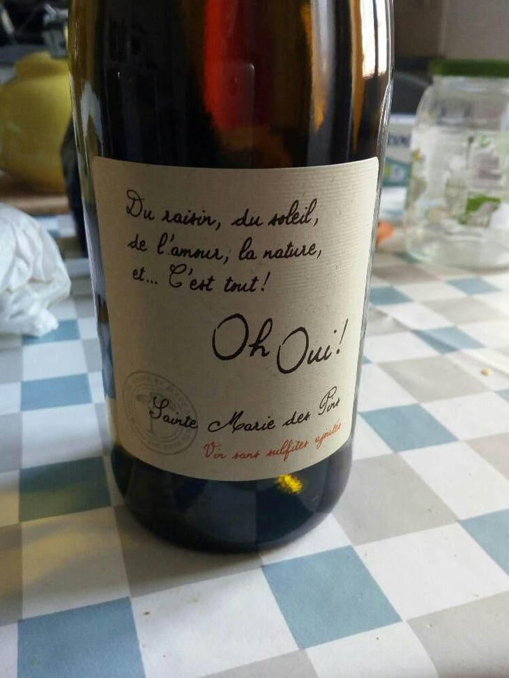Oh Oui ! - Marie Et Henri Gayzard - Marie Et Henri Gayzard 