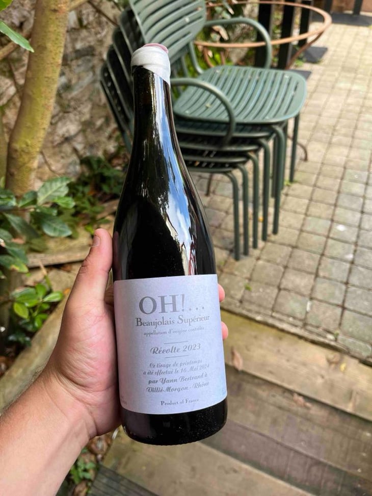 OH!... - Les Bertrand - Guy, Annick & Yann Bertrand -2019