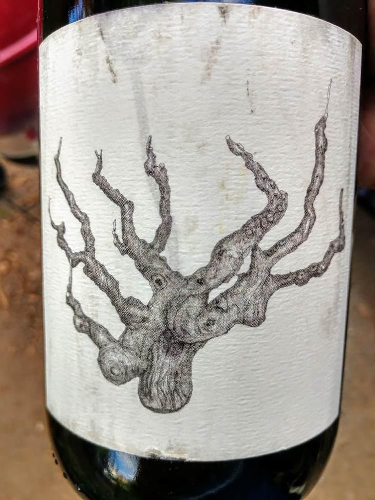 Old Vine - Broc Cellars - Chris Brockway 