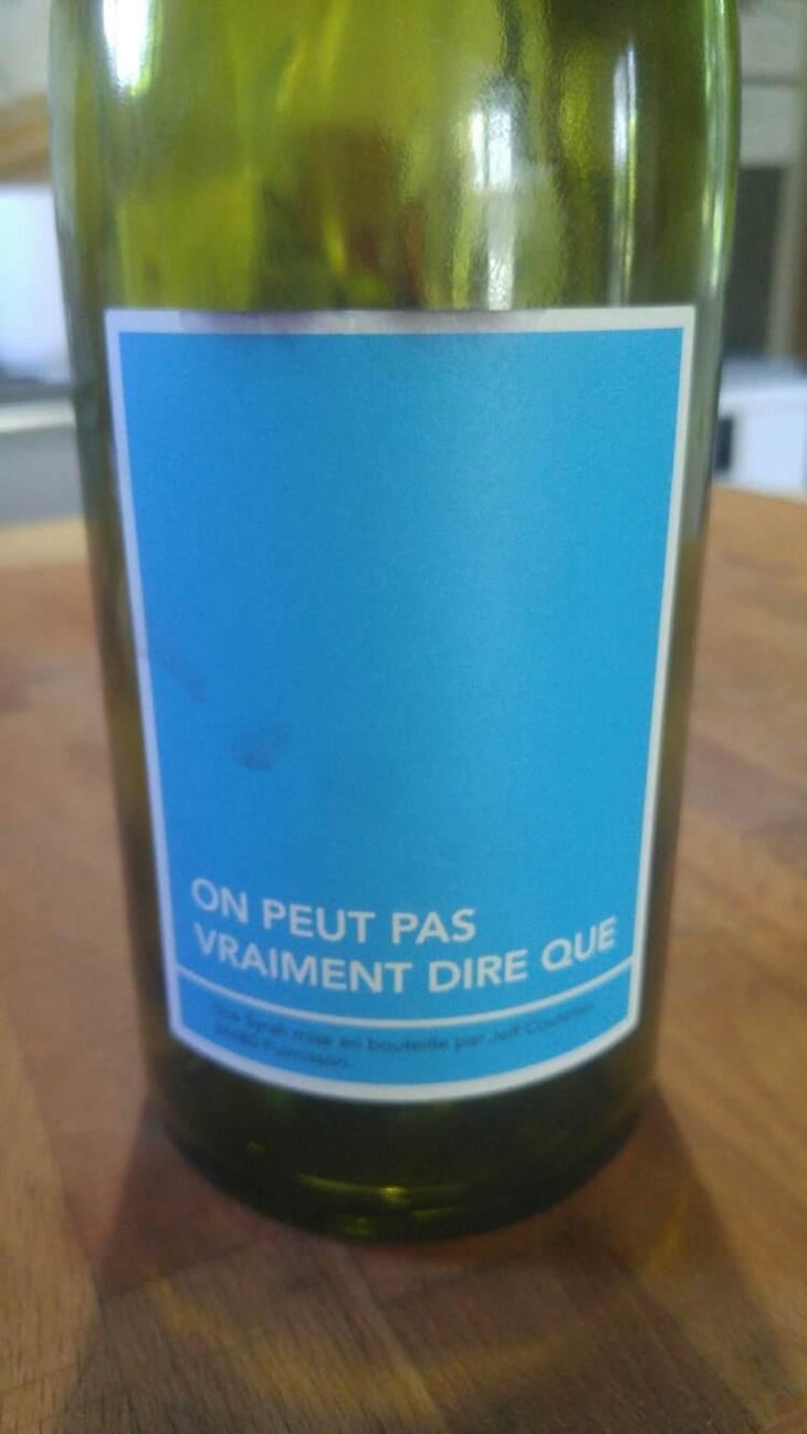 On Peut Pas Vraiment Dire Que - Mas Coutelou - Jean-François Coutelou 