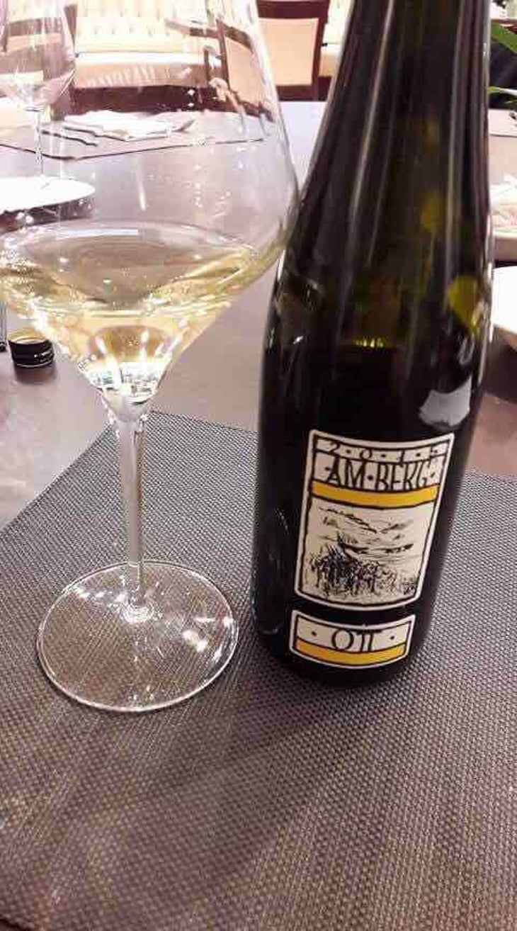 Am Berg - Weingut Bernhard Ott - Bernhard Ott 