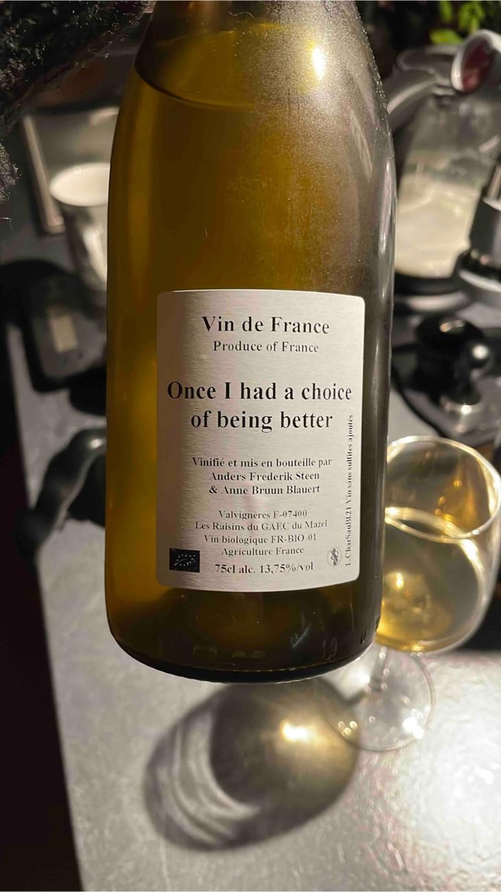 Once I had a choice of being better - Anders Frederik Steen & Anne Bruun Blauert - Anders Frederik Steen & Anne Bruun Blauert -2021