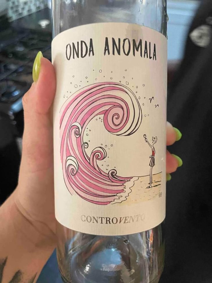 Onda Anomala - Controvento - Vincenzo Di Meo 
