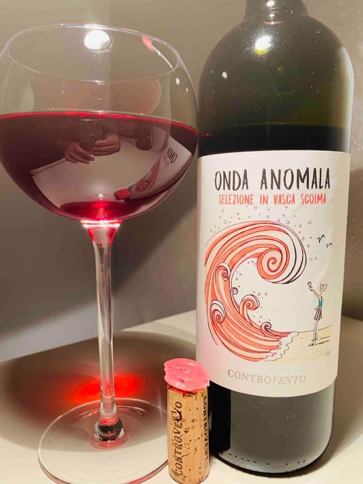 Onda Anomala - Controvento - Vincenzo Di Meo 