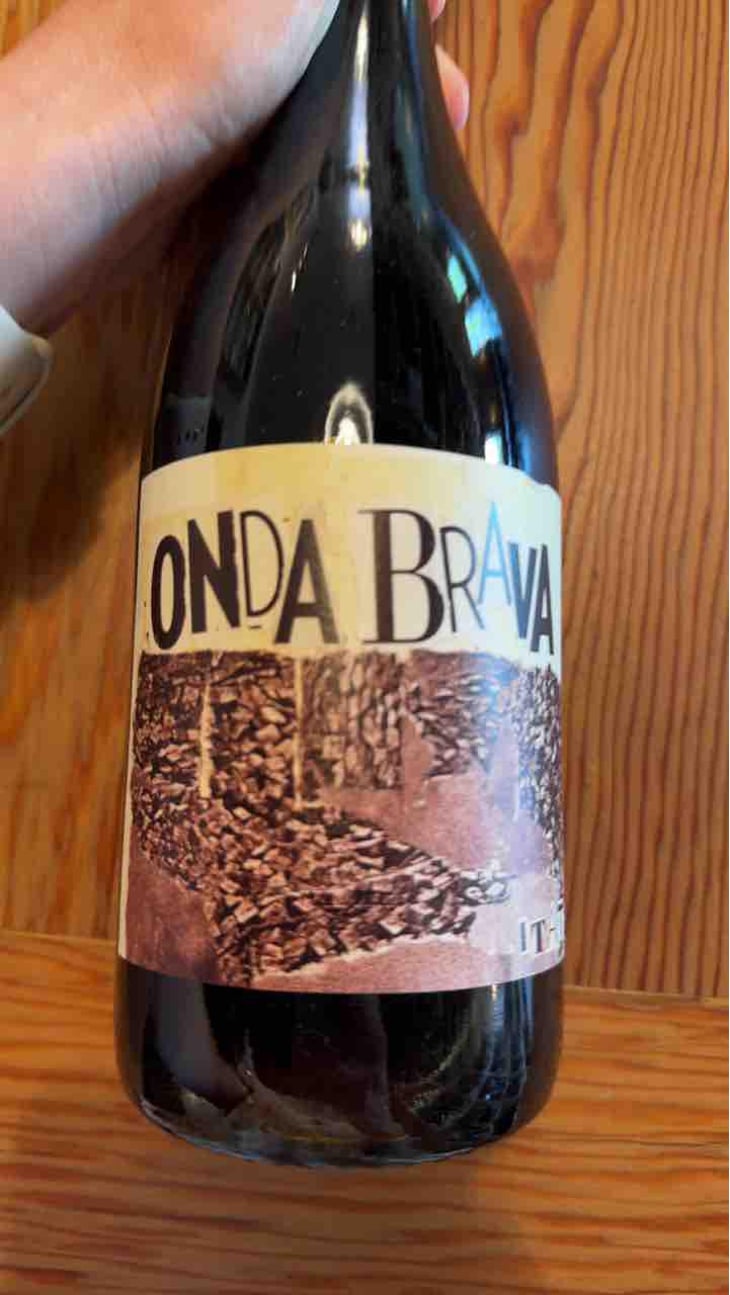 Onda Brava - Cinsault (X Dani Rozman, La Onda)) - A Los Viñateros Bravos / Onda Brava - Leonardo Erazo 