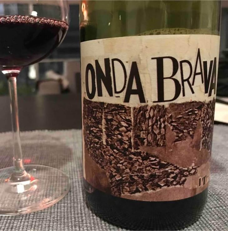 Onda Brava - Cinsault (X Dani Rozman, La Onda)) - A Los Viñateros Bravos / Onda Brava - Leonardo Erazo 