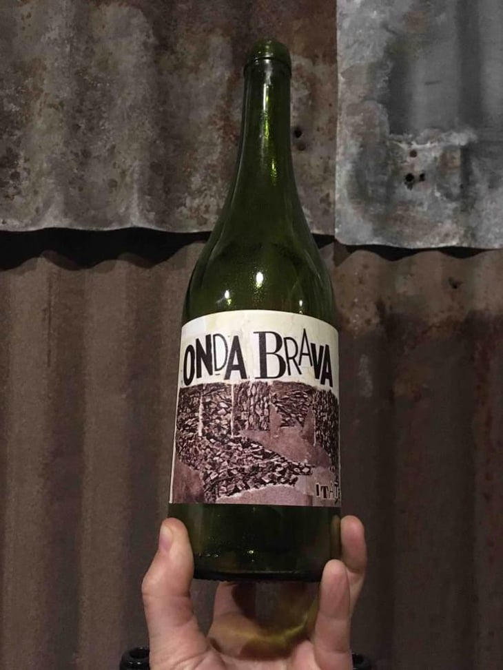 Onda Brava - Cinsault (X Dani Rozman, La Onda)) - A Los Viñateros Bravos / Onda Brava - Leonardo Erazo 
