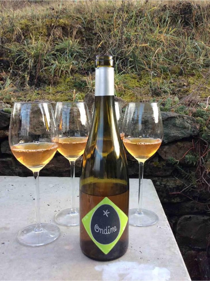 Ondine - Clos Massotte - Pierre Nicolas Massotte 