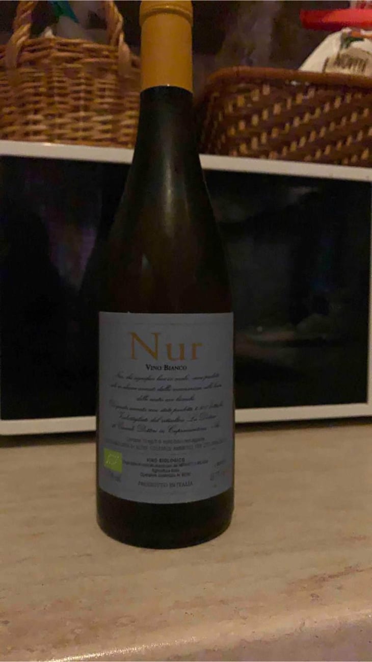 Nur - La Distesa - Corrado Dottori 