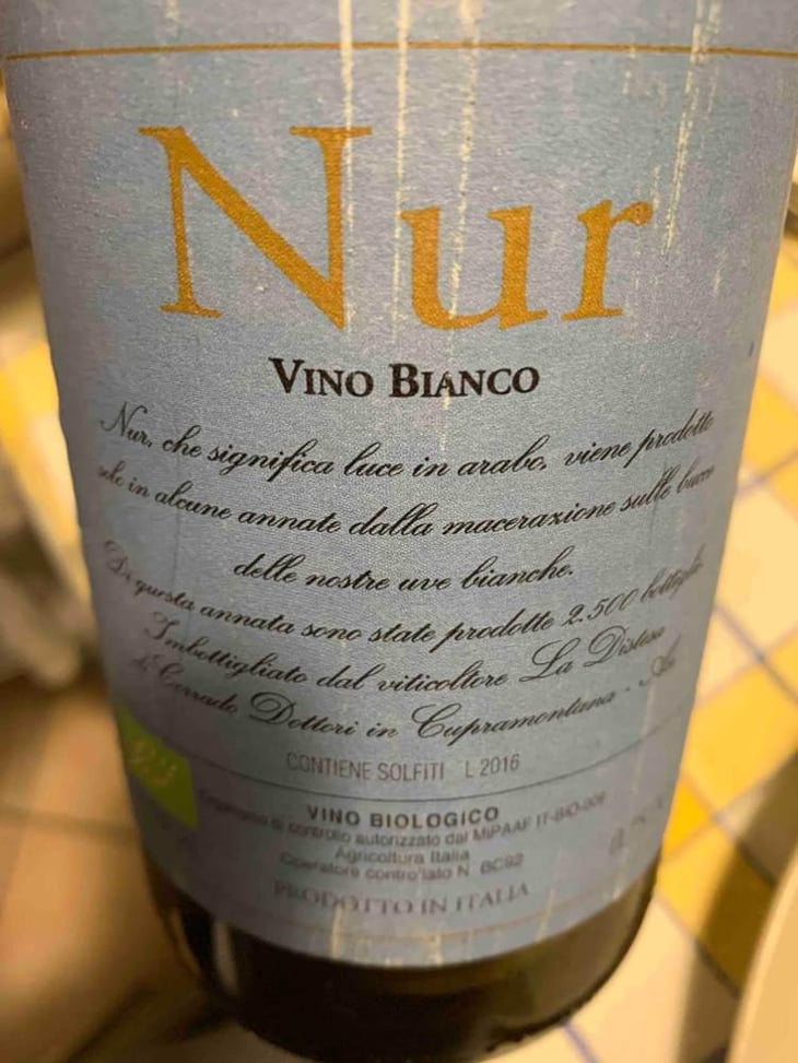 Nur - La Distesa - Corrado Dottori 