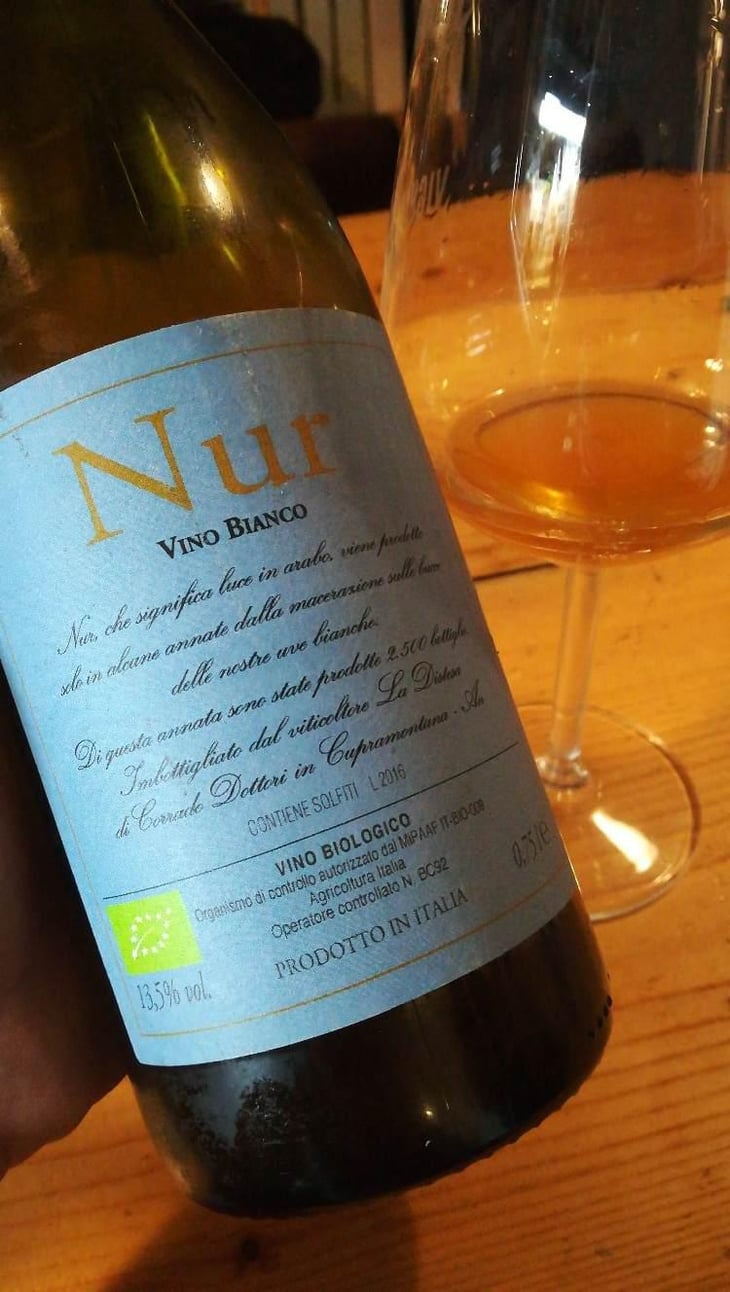 Nur - La Distesa - Corrado Dottori 