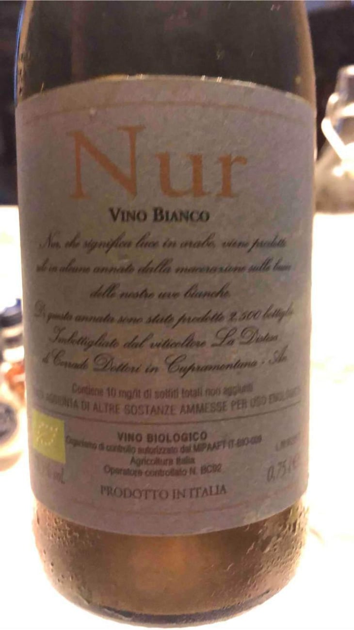 Nur - La Distesa - Corrado Dottori 