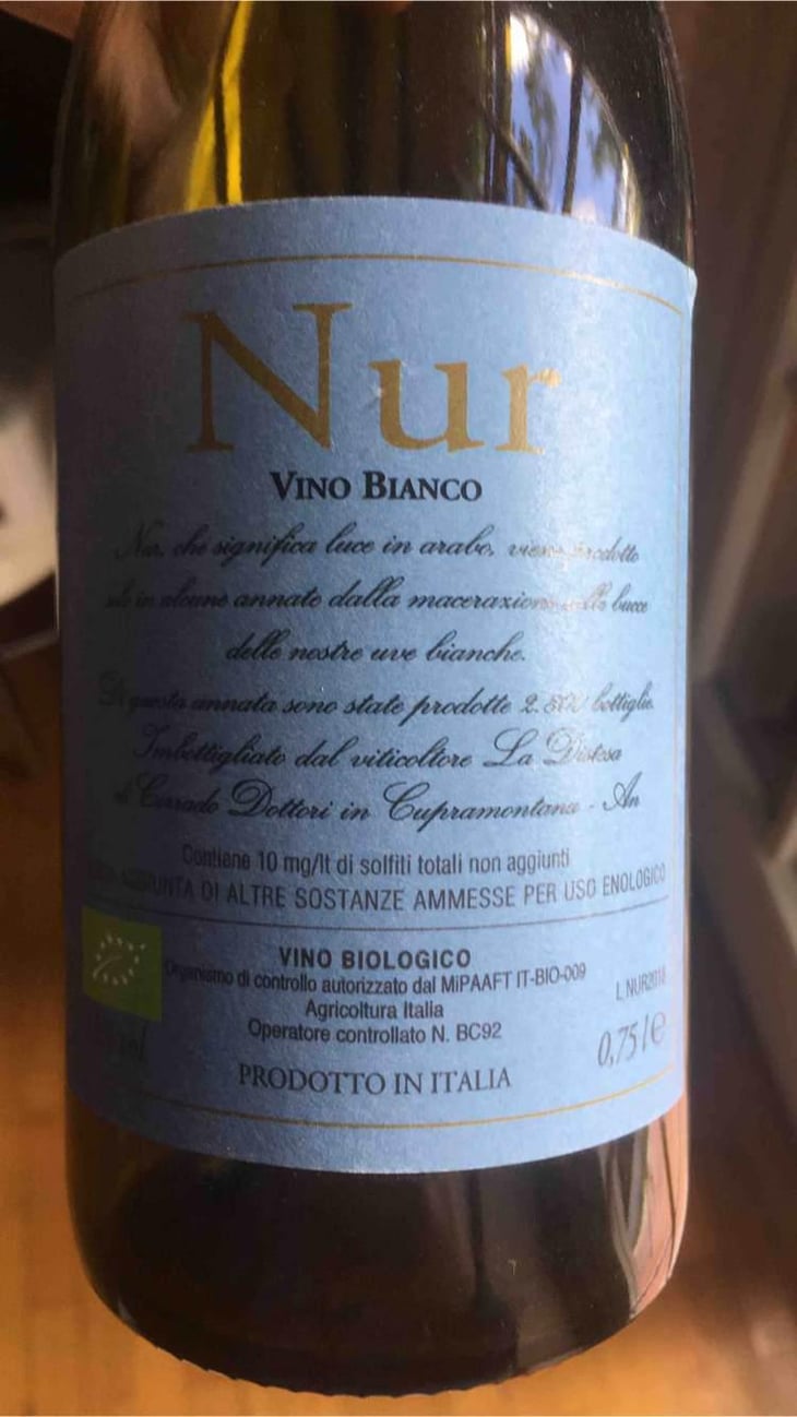 Nur - La Distesa - Corrado Dottori 