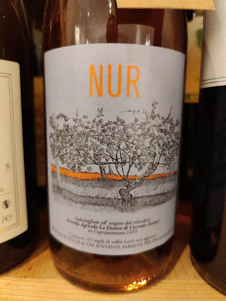 Nur - La Distesa - Corrado Dottori 