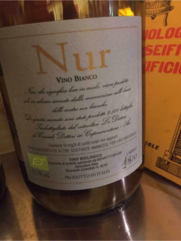 Nur - La Distesa - Corrado Dottori 
