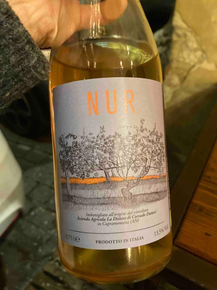 Nur - La Distesa - Corrado Dottori 