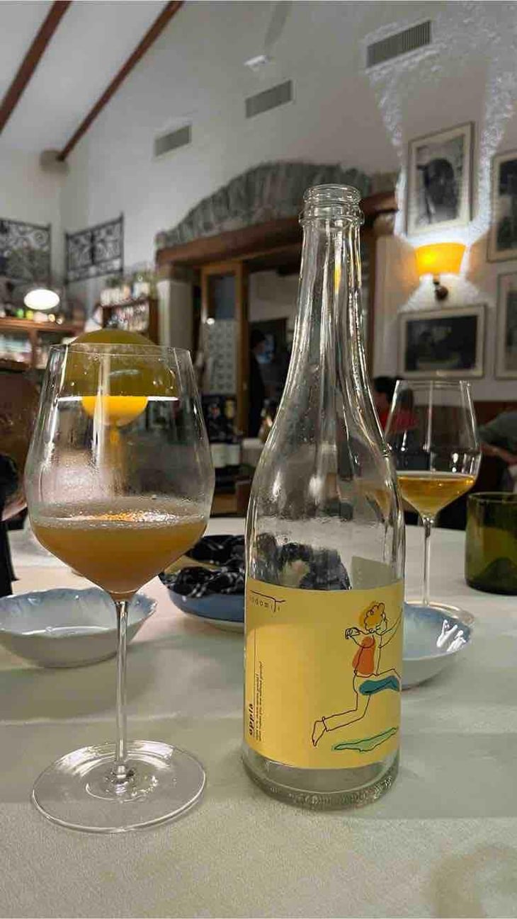 Opplà - Indomiti - Simone Ambrosini 