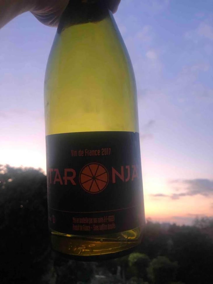 Taronja - Domaine des Sarradels - Rémi Synadinos Koval 