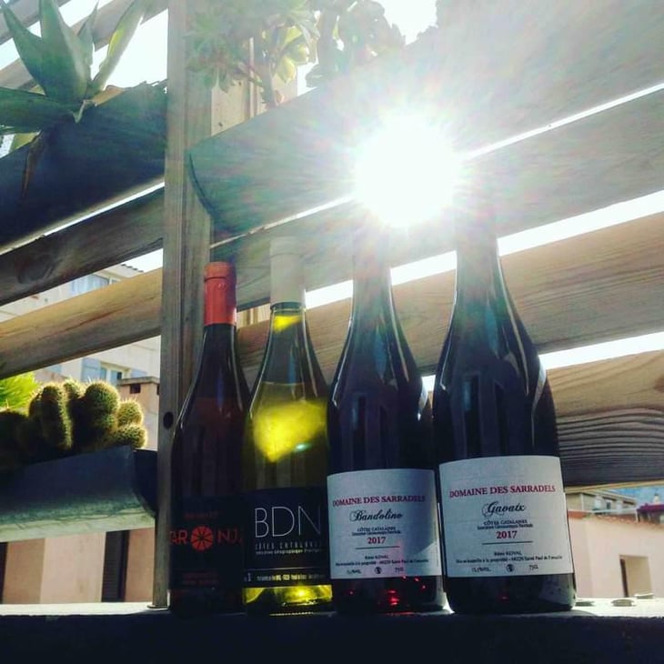 Taronja - Domaine des Sarradels - Rémi Synadinos Koval 