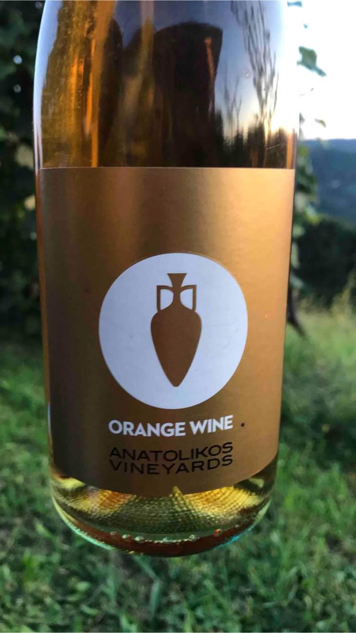 Orange Wine - Anatolikos Vineyards - Sakis & Marios Nikolaidis 