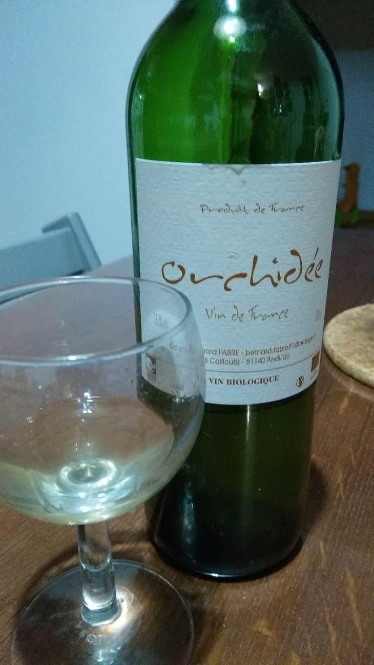 Orchidée - Domaine des Cailloutis - Patricia & Bernard Fabre 