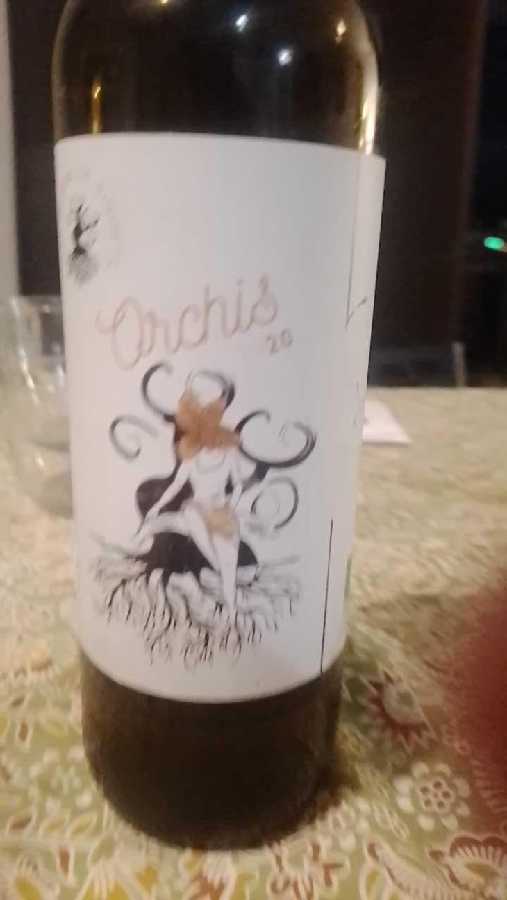 Orchis - Les Hauts De Riquets - Ivan & Léa Bireaud 