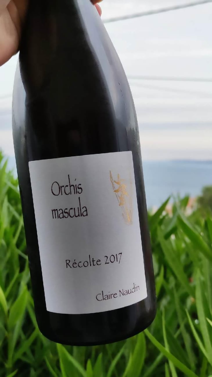 Orchis Mascula - Domaine Henri Naudin-Ferrand - Claire Naudin 