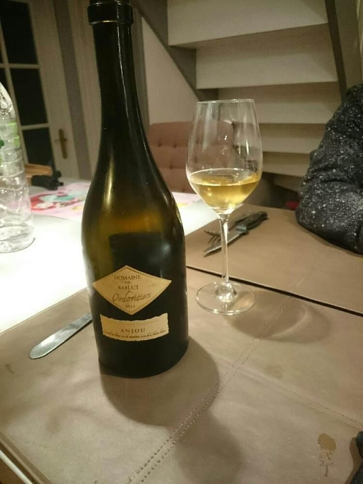 Ordovicien - Domaine de Bablut - Christophe & Antoine Daviau 