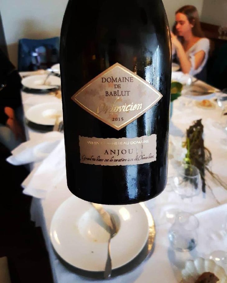 Ordovicien - Domaine de Bablut - Christophe & Antoine Daviau 