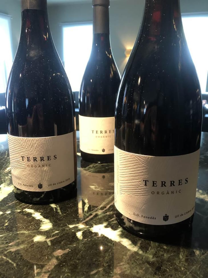 Terres Organic - Terres Wine - Josep Masachs -2019