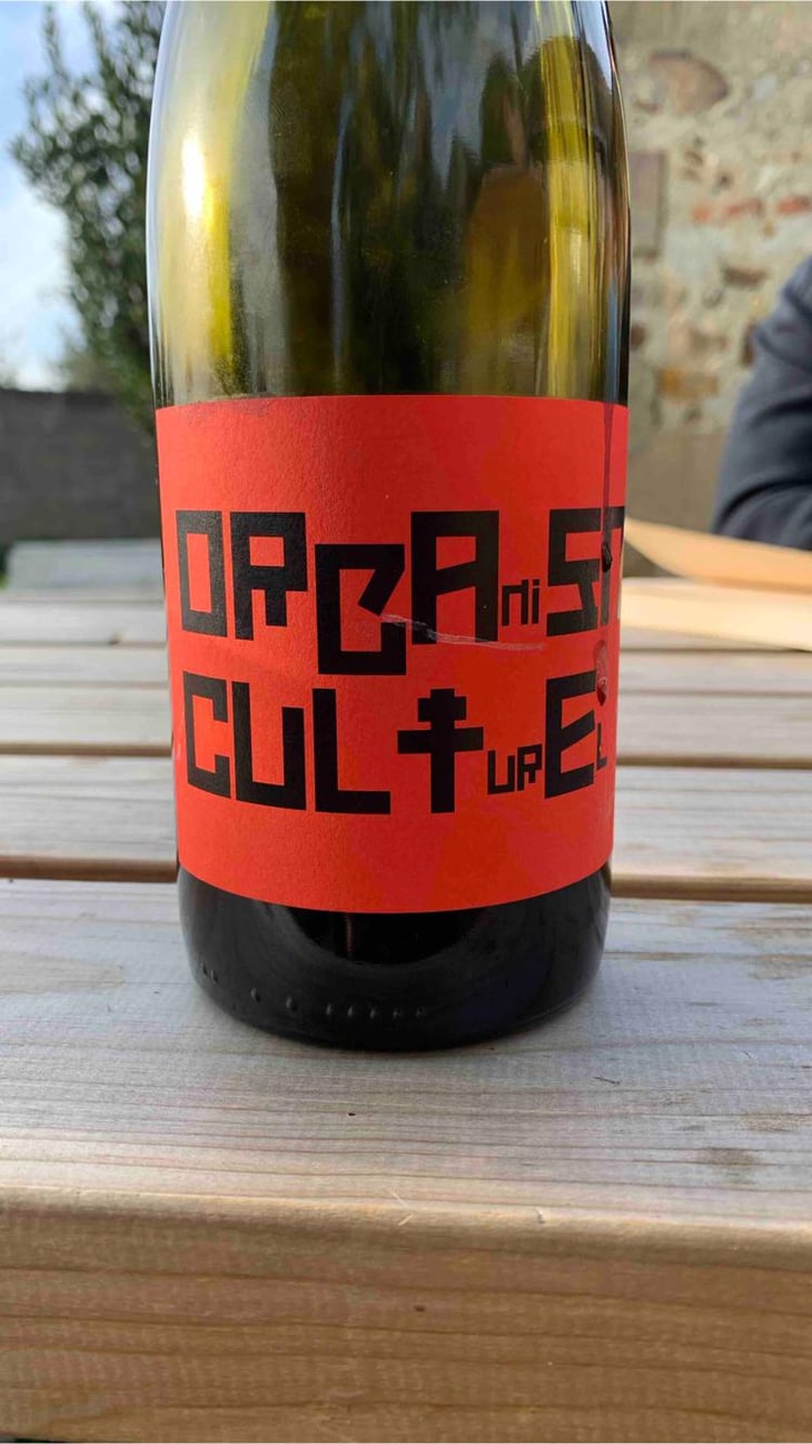 ORGAniSME CULTurEL - Benoit Delorme - Benoit Delorme 