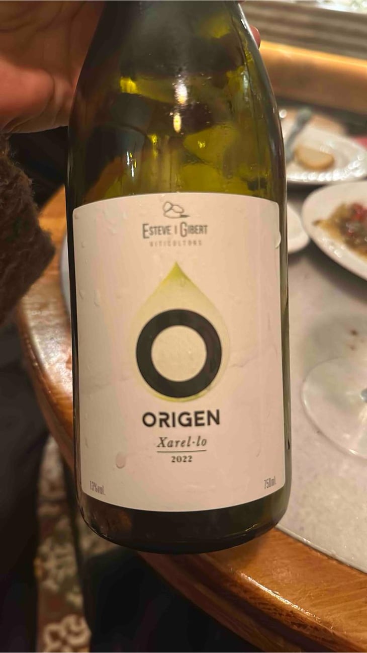 Origen - Nidea - Esteve i Gibert -2022