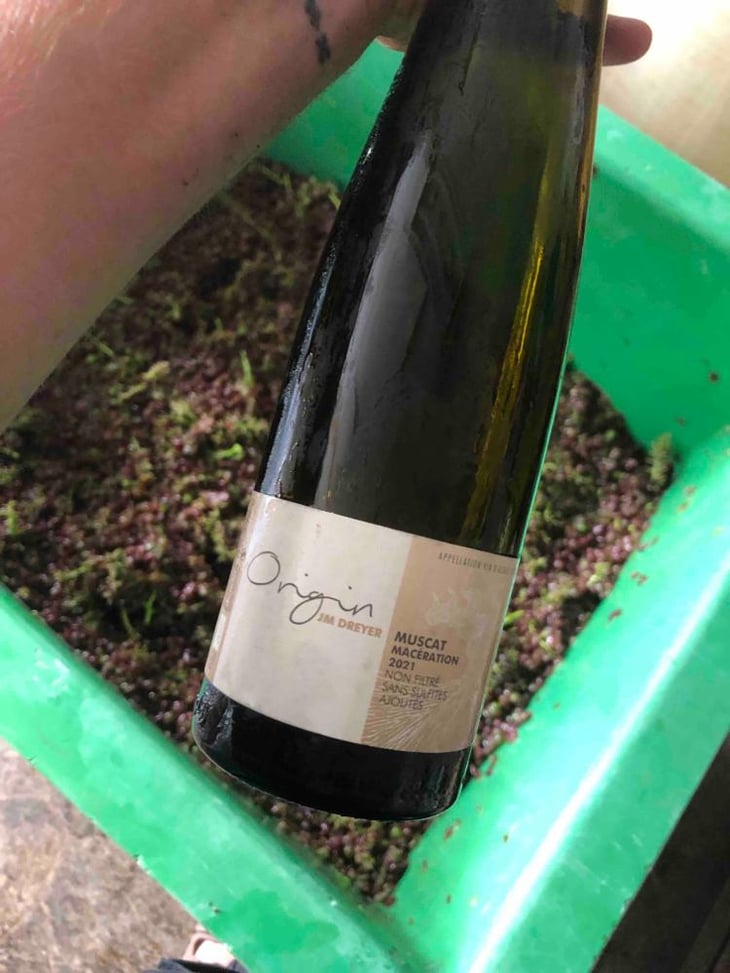Origin Muscat Macération - J.M. Dreyer - Jean-Marc Dreyer 