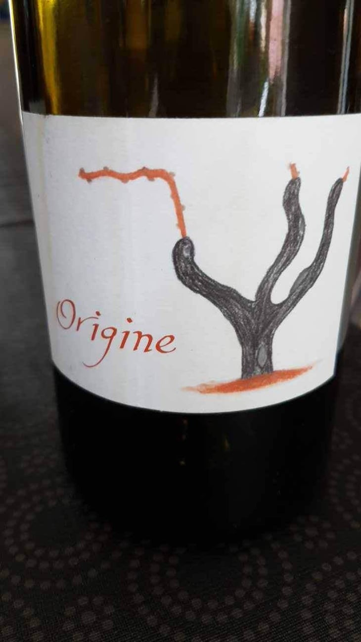 Origine - Domaine Passe Pont - David Landron 