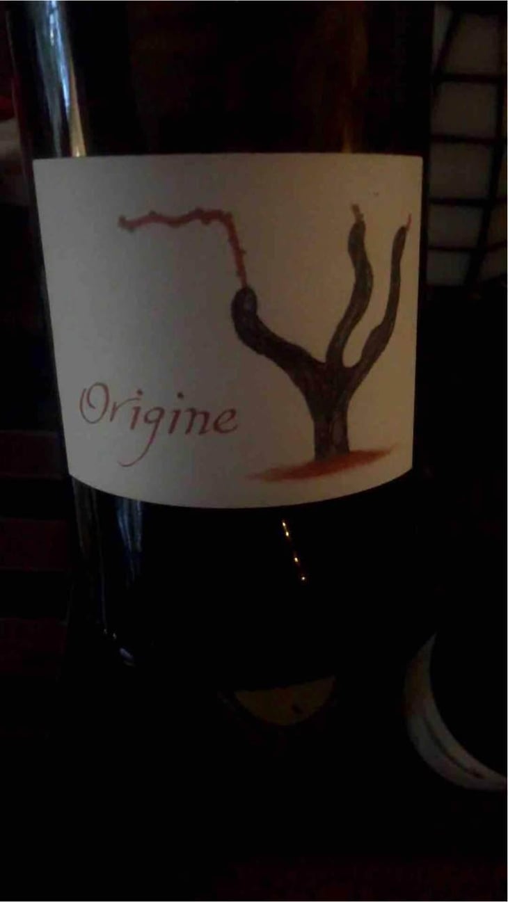 Origine - Domaine Passe Pont - David Landron 
