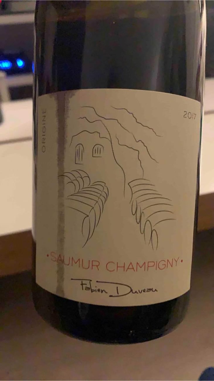 Origine Saumur Champigny - Domaine Fabien Duveau - Fabien Duveau 